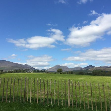 Willowtree Glamping Mournes Annalong Exterior foto