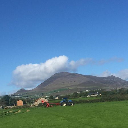 Willowtree Glamping Mournes Annalong Exterior foto