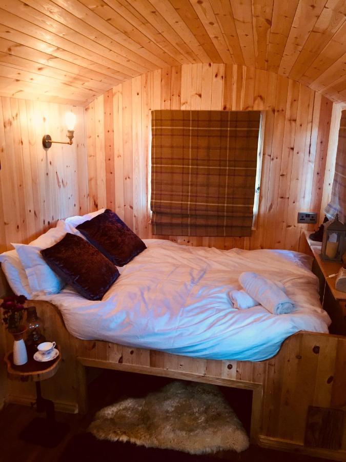 Willowtree Glamping Mournes Annalong Exterior foto