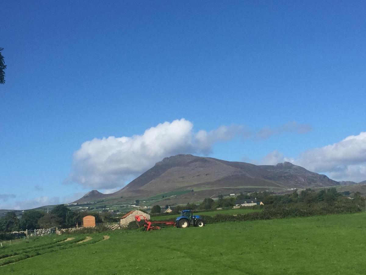Willowtree Glamping Mournes Annalong Exterior foto