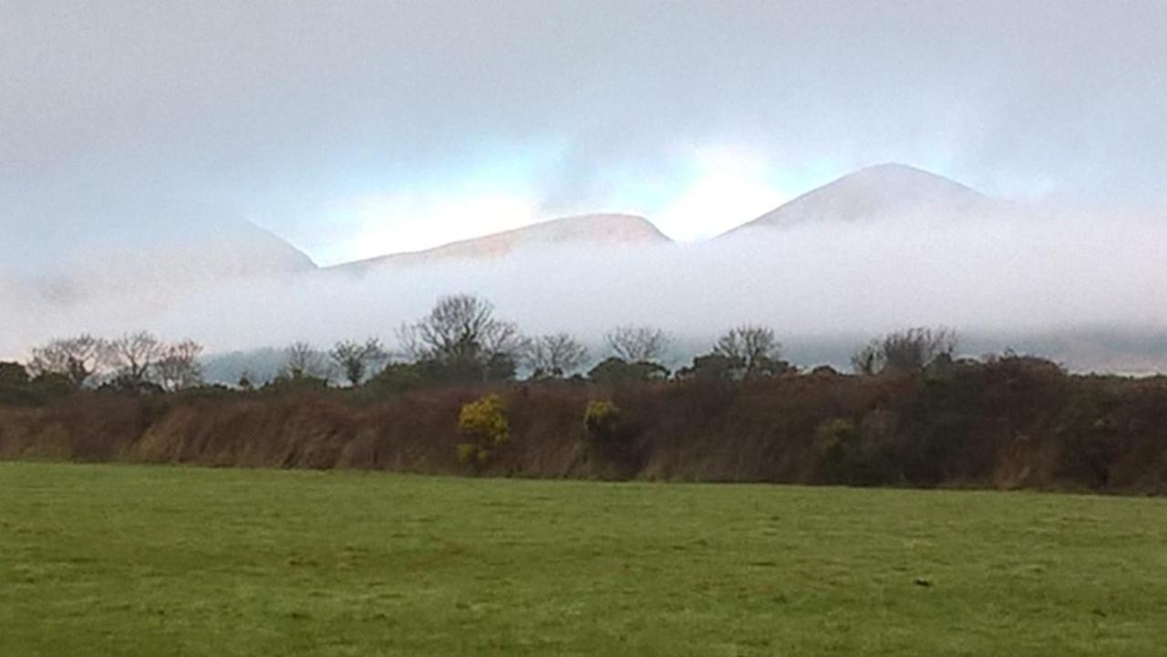 Willowtree Glamping Mournes Annalong Exterior foto