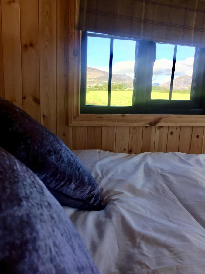Willowtree Glamping Mournes Annalong Exterior foto