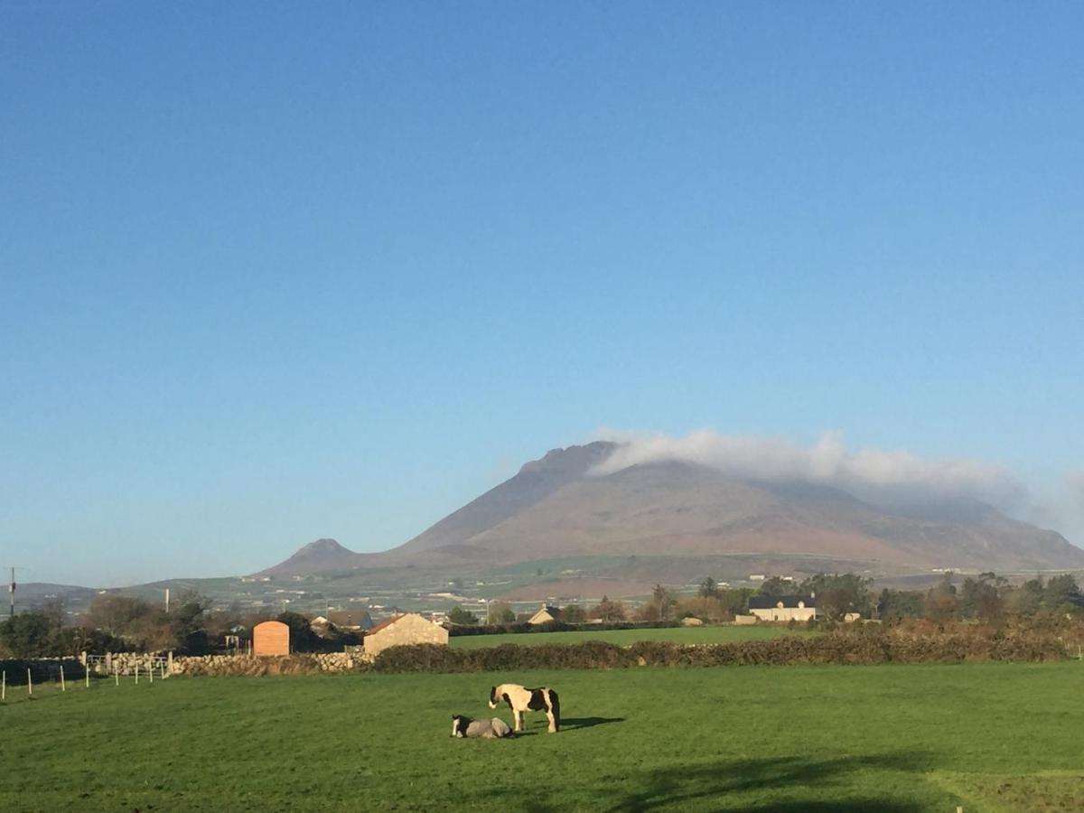 Willowtree Glamping Mournes Annalong Exterior foto
